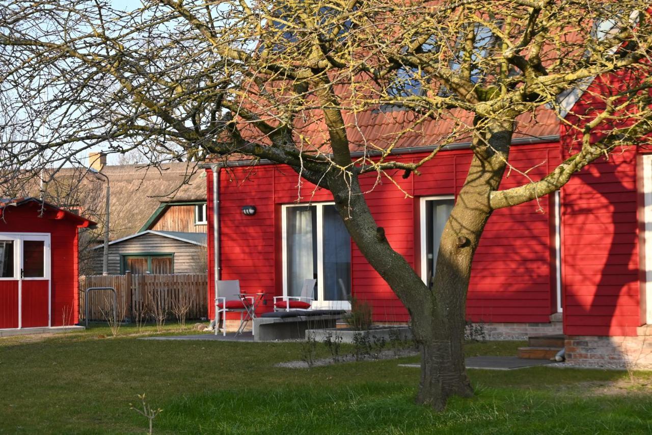Ferienwohnung Rote Kate 보른 외부 사진